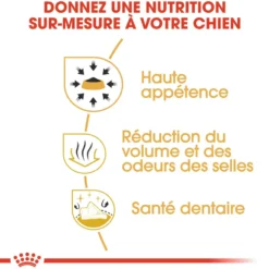 Croquettes pour chien adulte Chihuahua Royal Canin - 3 kg