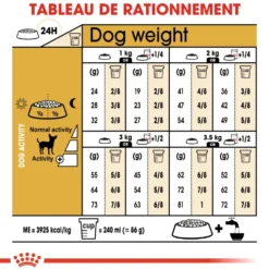 Croquettes pour chien adulte Chihuahua Royal Canin - 3 kg