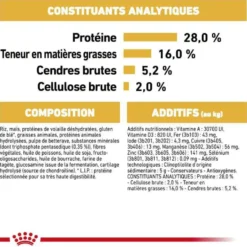 Croquettes pour chien adulte Chihuahua Royal Canin - 3 kg