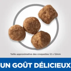 Croquettes pour chien mature medium poulet Hill's Science Plan - 18 kg