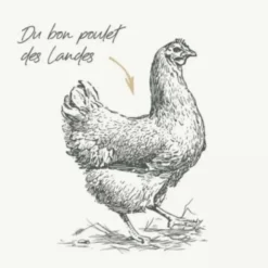 Croquettes pour chien maxi adulte au poulet sans céréales Bab'in Signature - 12 kg