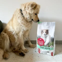 Croquettes pour chien medium adulte au poulet VivaCroc – 12 kg