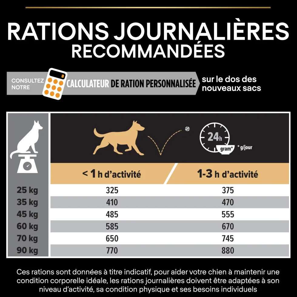 Croquettes pour chien Pro Plan Dog Large Adult Robust - 16,5 kg