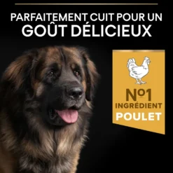 Croquettes pour chien Pro Plan Dog Large Adult Robust - 16,5 kg