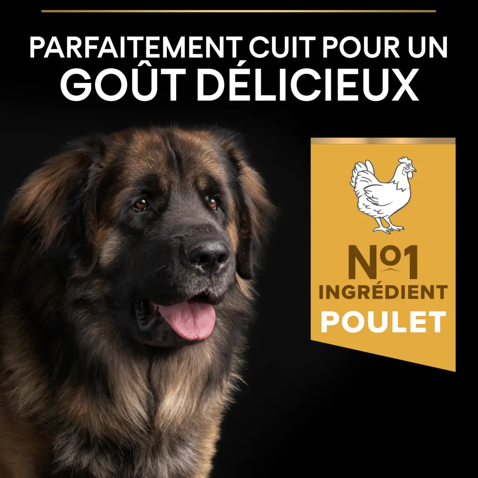 Croquettes pour chien Pro Plan Dog Large Adult Robust - 16,5 kg