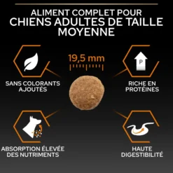 Croquettes pour chien Pro Plan Dog Large Adult Robust - 16,5 kg