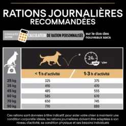 Croquettes pour chien Pro Plan Dog Large Adult Robust - 16,5 kg
