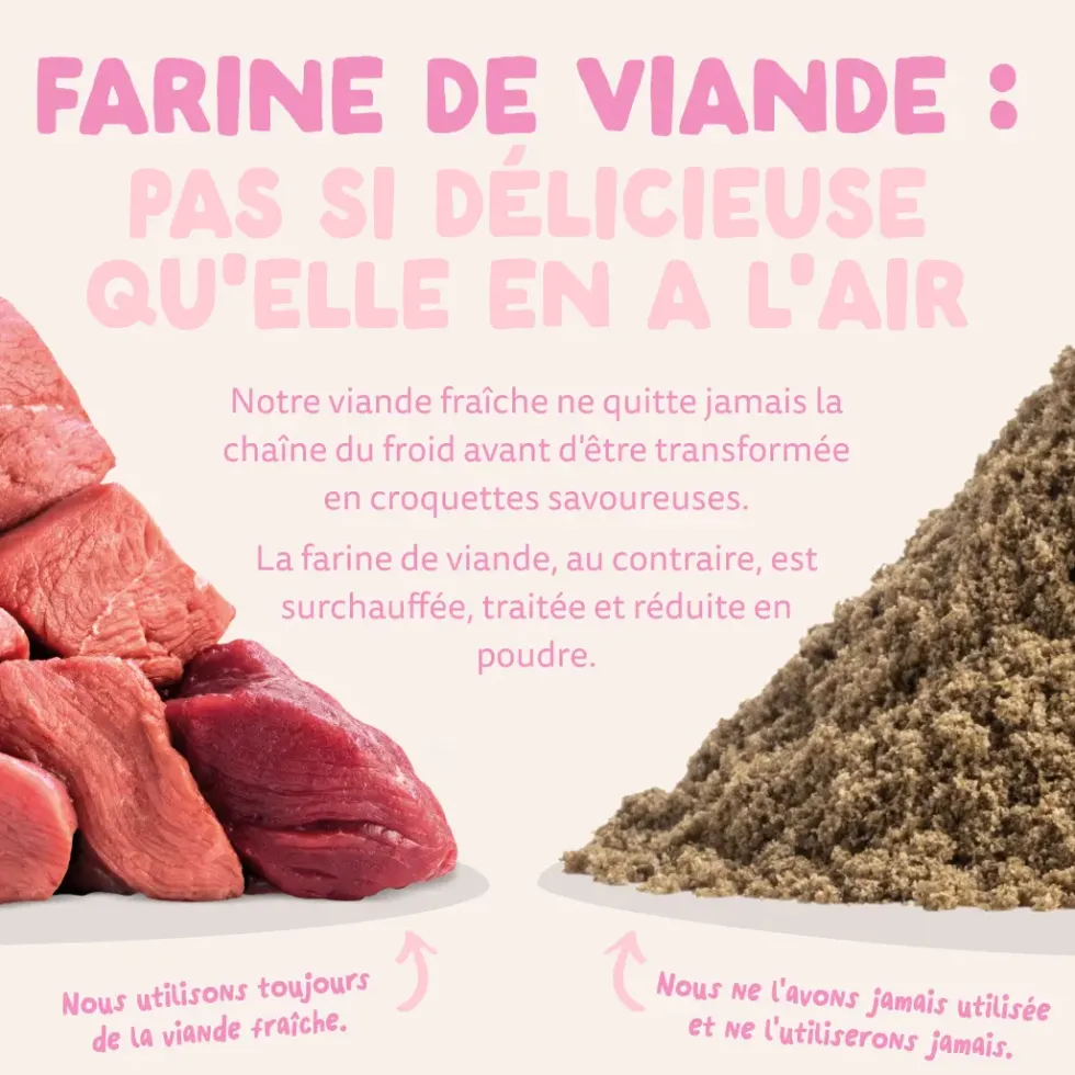 Croquettes pour chiot au canard et au poulet sans céréales Edgard & Cooper - 12 kg