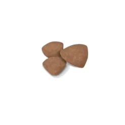 Croquettes pour chiot de petite race Royal Canin Mini Puppy - 4 kg