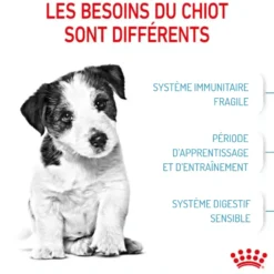 Croquettes pour chiot de petite race Royal Canin Mini Puppy - 2 kg