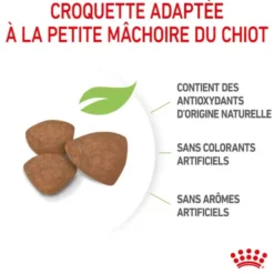 Croquettes pour chiot de petite race Royal Canin Mini Puppy - 2 kg