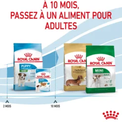 Croquettes pour chiot de petite race Royal Canin Mini Puppy - 2 kg