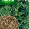 Cumin des Près Vilmorin - graines à semer