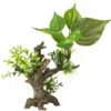 Décor d'aquarium plantes flora scape 6 coloris vert en résine de polyester - 14,5 x 9 x 16,5 cm