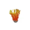 Dracaena orange en plastique 13 cm