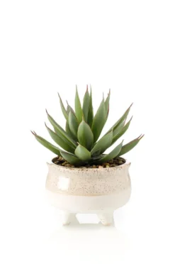 Echeveria artificielle vert et rouge en pot décoratif - Ø 17 x H 20 cm