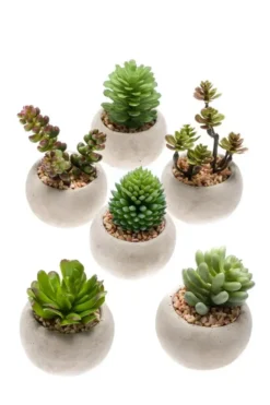 Ensemble de 6 petites plantes grasses artificielles en pot - Ø 6,5 x 6,5 cm