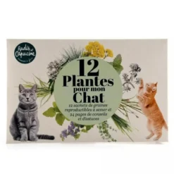 Enveloppe 12 sachets plantes pour mon chat Radis et Capucine
