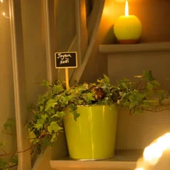 Etiquettes à planter en bois - 46 cm