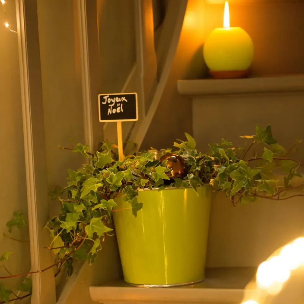 Etiquettes à planter en bois - 46 cm