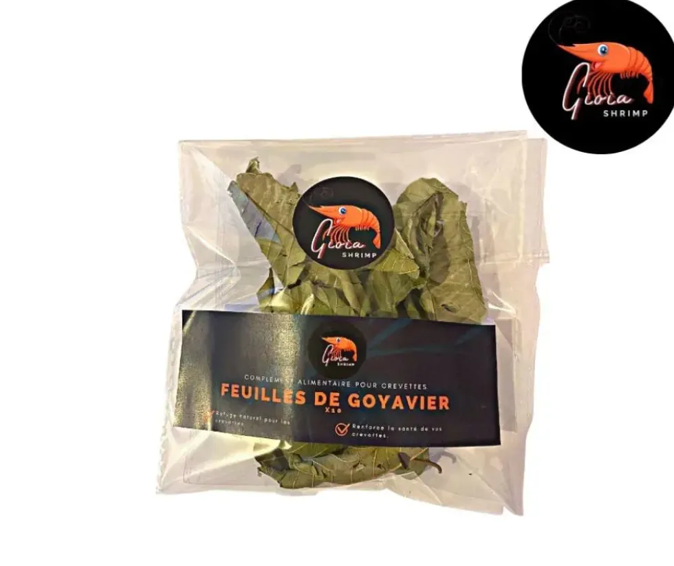 Feuilles de goyavier pour crevettes d'aquarium Gioiashrimp – Sachet de 10