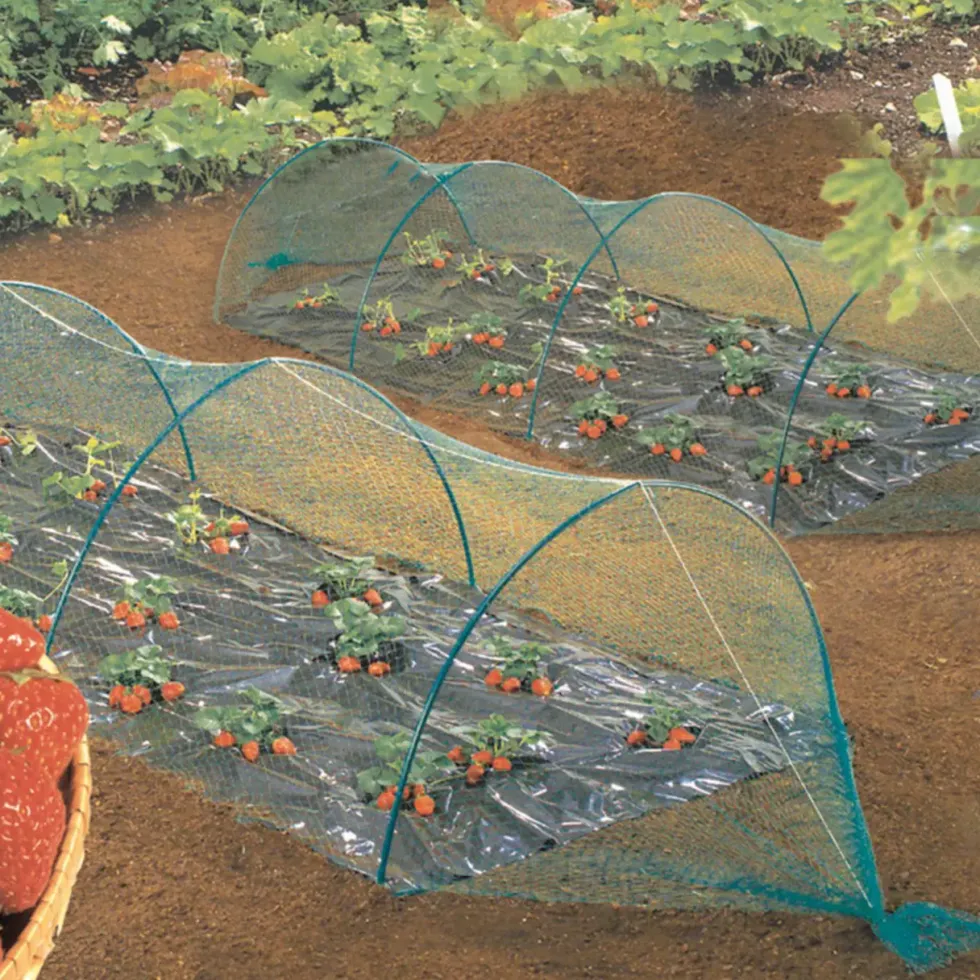 Filet de protection anti-oiseaux coloris noir 2x10 m