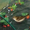 Filet de protection anti-oiseaux coloris vert 2x10 m
