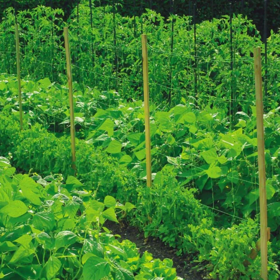 Filet à ramer coloris vert 1x5 m