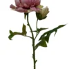 Fleur artificielle en papier tige de pivoine coloris violet - H 62 cm