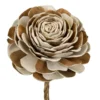 Fleur de sola bicolore beige et rose - Ø 12 x H 65 cm