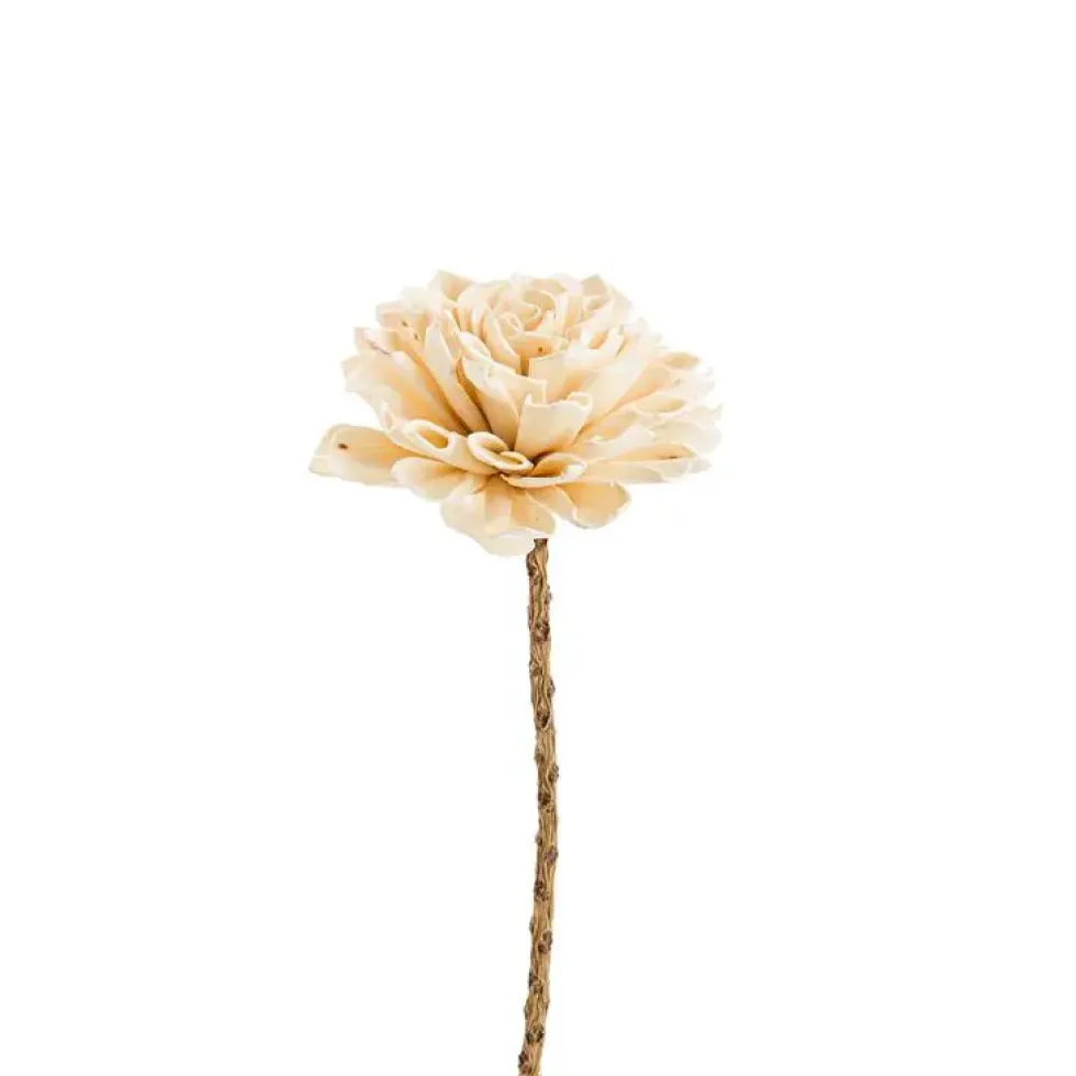 Fleur en bois de Sola et coco forme Œillet - Ø 8 x H 53 cm