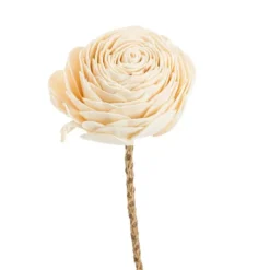 Fleur en bois de Sola et coco forme Rose - Ø 8 x H 52 cm