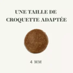 Friandises pour chat au saumon Bab'in Les Bab'inettes - 60 g