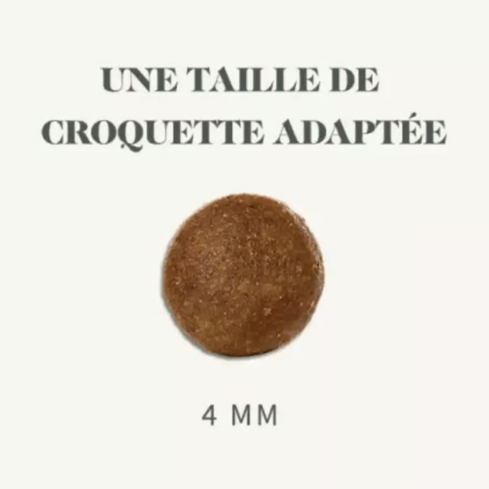 Friandises pour chat au saumon Bab'in Les Bab'inettes - 60 g
