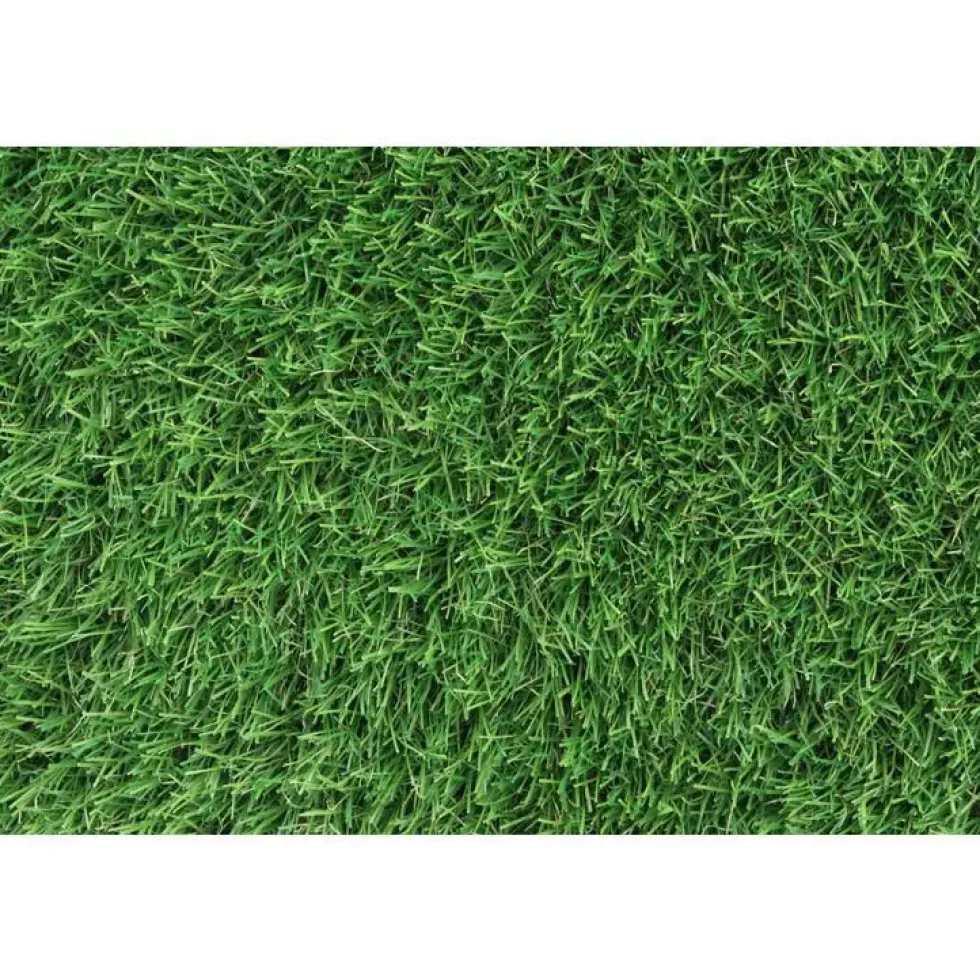 Gazon synthétique C Revolution 25 mm vert en rouleau 1x3 m