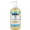 Gel lavant mains lavande citron bio Coslys - 300 ml