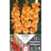 Glaïeul Conca d'Oro orange cœur jaune Ernest Turc - 12 bulbes