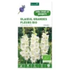 Glaïeul à grandes fleurs Ocilla bio blanc botanic® - 5 bulbes
