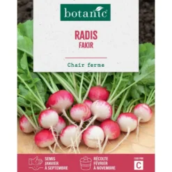 Graine de radis fakir botanic® - graines à semer