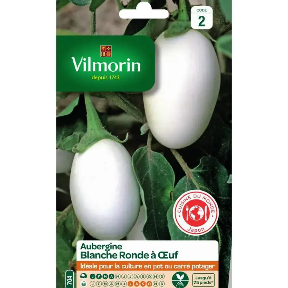 Graines d'aubergine blanche ronde à œuf Vilmorin - graines à semer