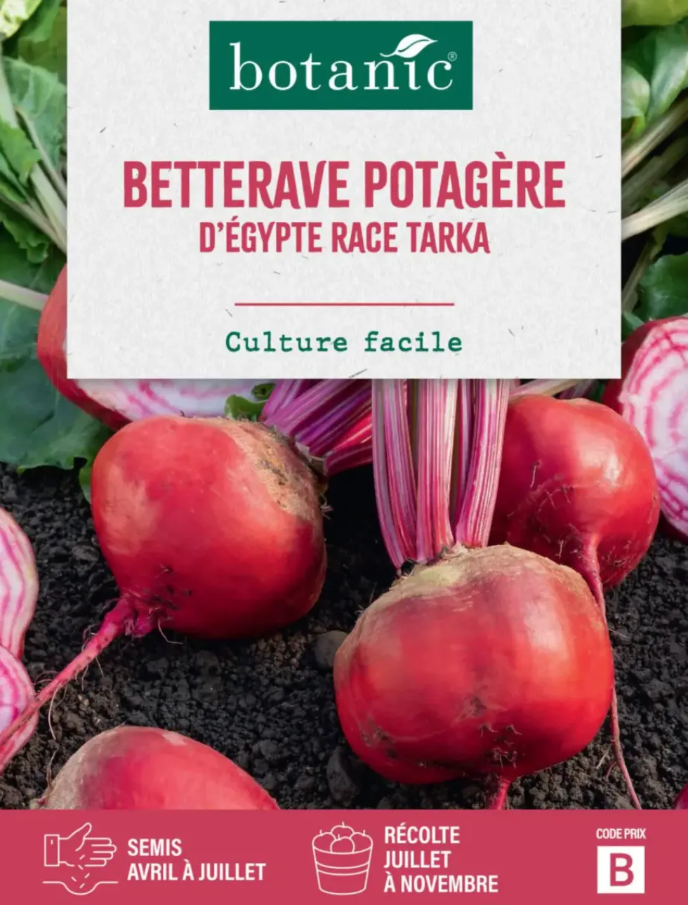 Graines de betterave d'Egypte race sultan botanic® - graines à semer