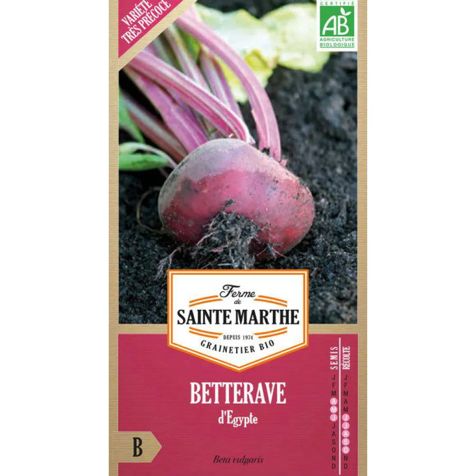 Graines de betterave potagère d'Egypte bio Ferme de Sainte Marthe - graines à semer
