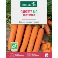 Graines de carotte Amsterdam 2 bio botanic® - graines à semer