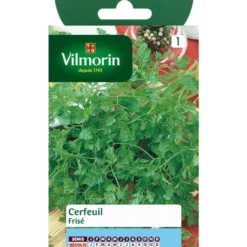 Graines de cerfeuil frisé Vilmorin - graines à semer