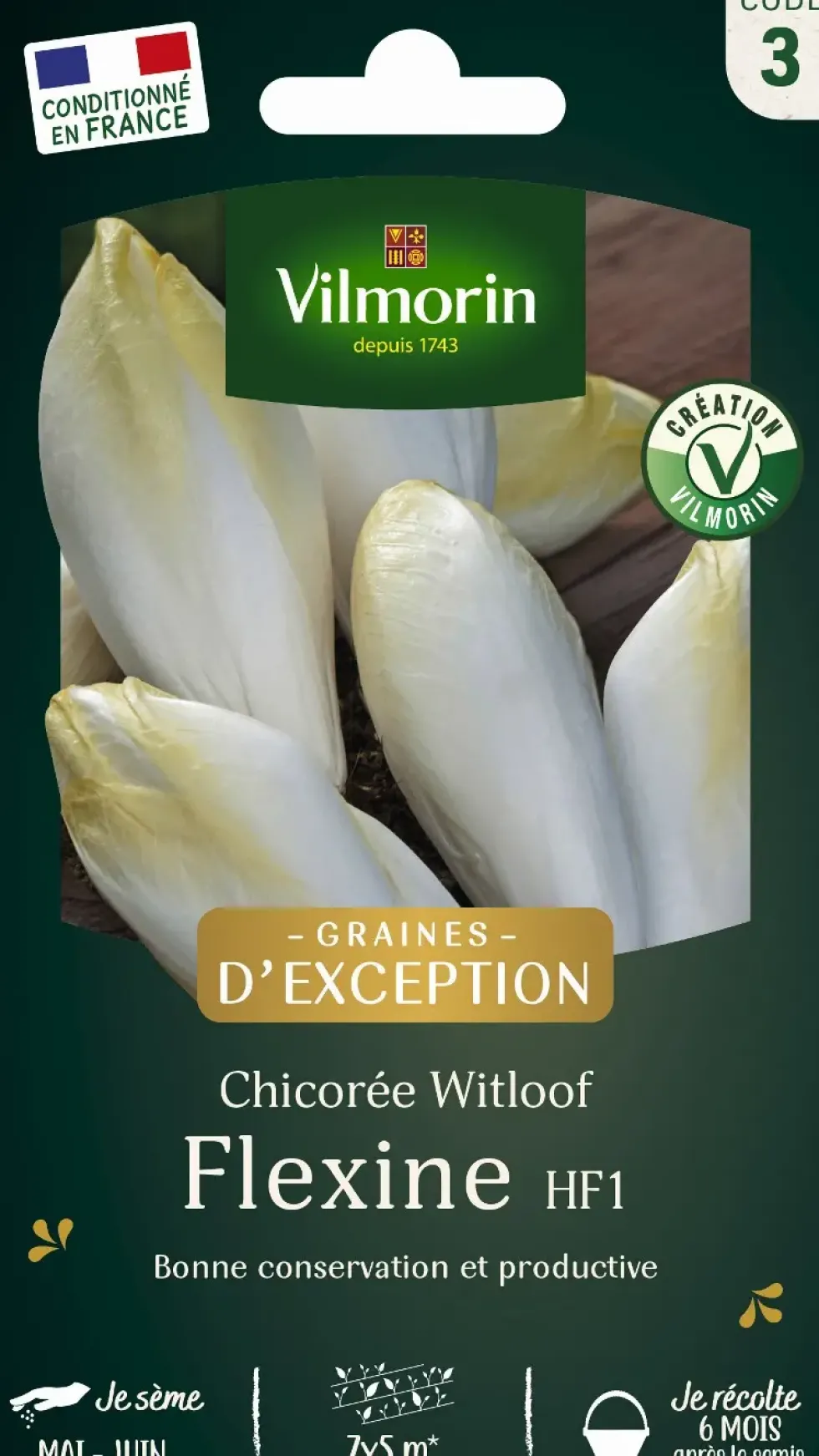 Graines de chicorée flexine coloris blanc Vilmorin jardin - graines à semer