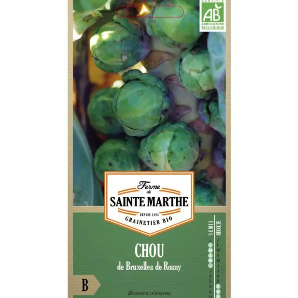 Graines de Chou de Bruxelles de Rosny bio Ferme de Sainte Marthe - graines à semer