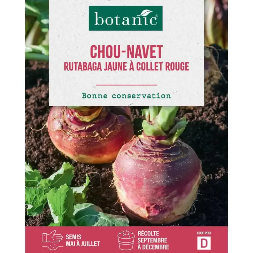 Graines de Chou-navet rutabaga jaune à collet rouge botanic® - graines à semer