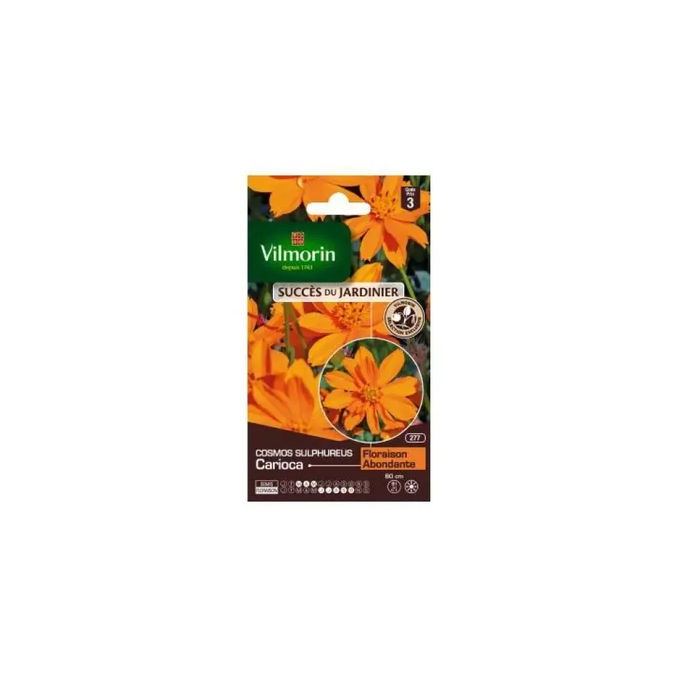 Graines de Cosmos Sulfureux Carioca orange Vilmorin graines d’exception - graines à semer