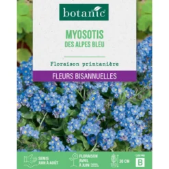Graines de fleurs de Myosotis des Alpes bleu botanic®