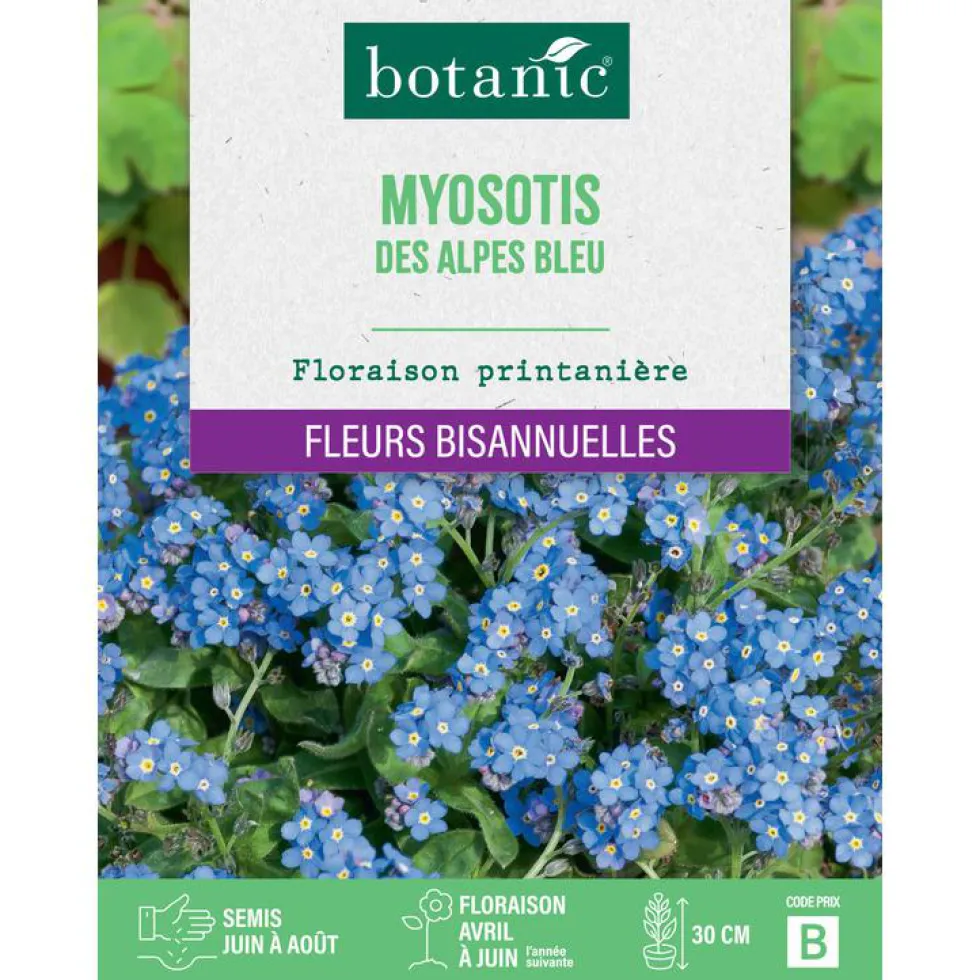 Graines de fleurs de Myosotis des Alpes bleu botanic®
